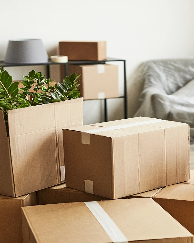 Caixas de cartão, plantas e pertences domésticos embalados dentro de casa para o dia da mudança.
